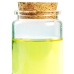 Clove Oil Manufacturer Supplier Exporter