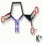 Potassium pidolate or  Potassium 5-oxo-L-prolinate or Potassium PCA Manufacturer Supplier Exporter